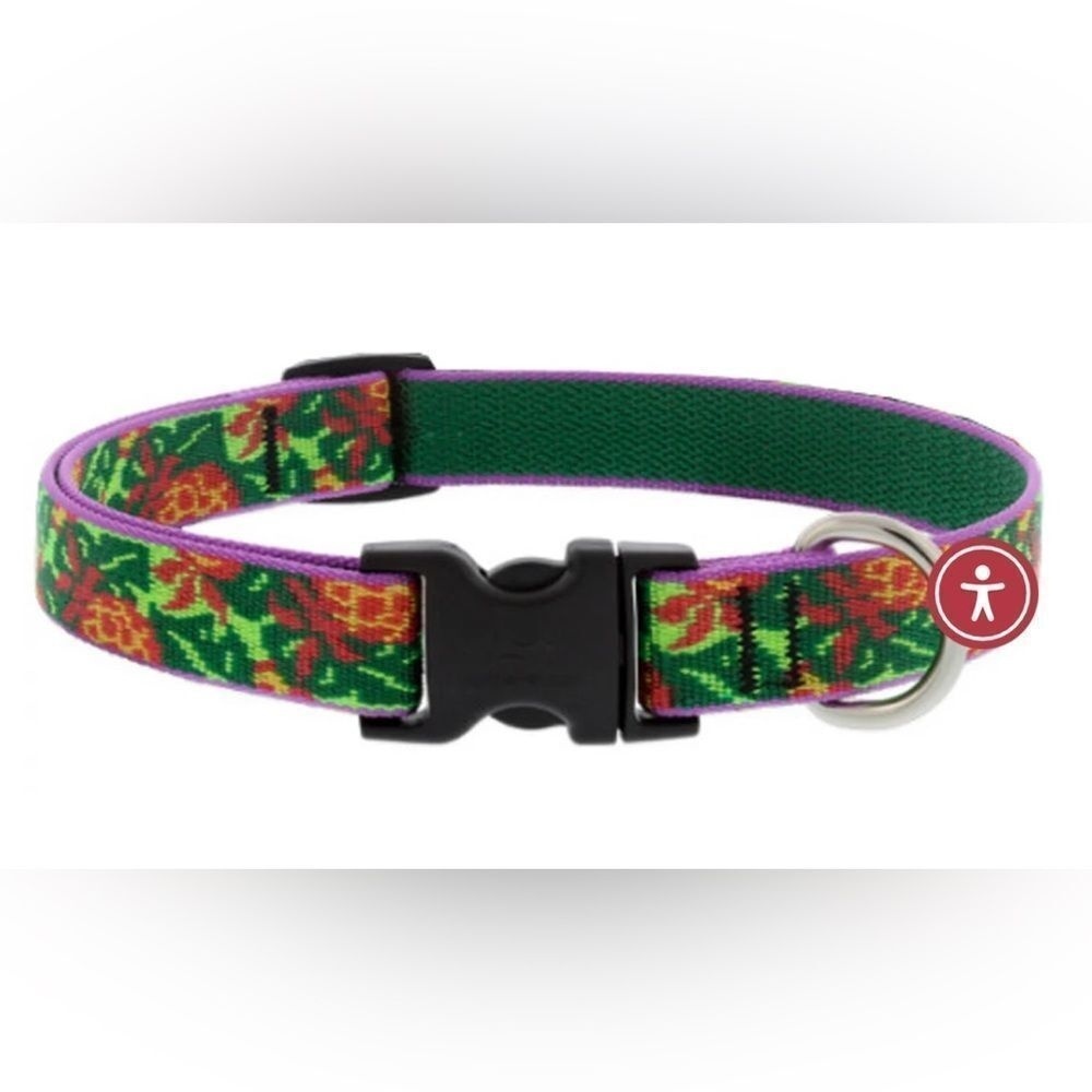 Lupine Pet Dog Collar Pina Colada -  3/4‎ Inch width NWOT